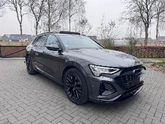 Audi Q8 Audi Q8 e-tron 55 Quattro S-line PANORAMA AHK Camera picture 23