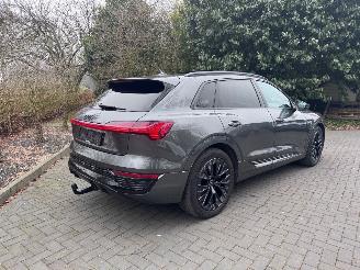 Audi Q8 Audi Q8 e-tron 55 Quattro S-line PANORAMA AHK Camera picture 25