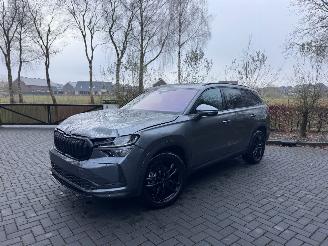 Schadeauto Skoda Kodiaq Skoda Kodiaq 1.5 TSI mHEV 110 kW 7 Persoons Selection Trekhaak Camera VOL 2025/7