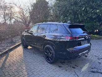 Volkswagen Tayron Volkswagen Tayron 1.5 TSI eHybrid R-Line 7 Stoelen Trekhaak ! picture 30