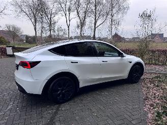 Tesla Model Y Tesla Model Y Long Range RWD PANORAMA Autopilot VOL picture 24