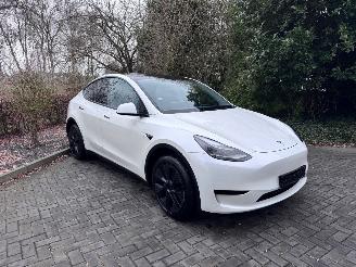Tesla Model Y Tesla Model Y Long Range RWD PANORAMA Autopilot VOL picture 15