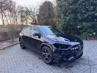 Mercedes GLA Mercedes-Benz GLA 250e AMG Camera Ambiance LED ACC picture 14