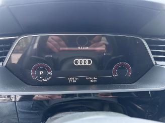 Audi E-tron e-tron 55 Quattro S-Line Camera Head-Up Display VOL picture 8
