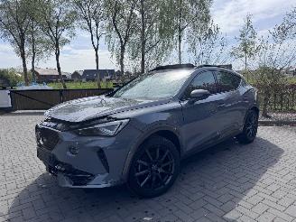 Voiture accidenté Cupra Formentor Formentor 1.5TSI Panorama Camera Leder Ambiance 2023/6