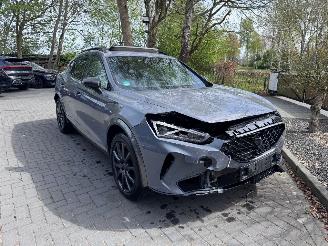 Cupra Formentor Formentor 1.5TSI Panorama Camera Leder Ambiance picture 14