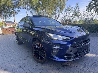 Cupra Terramar Cupra Terramar 2.0 TSI 4Drive VZ PANORAMA HUD Trekhaak Sennheiser Sound Standkachel  VOLL picture 10