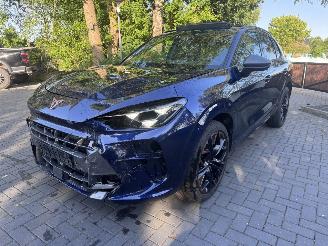 Cupra Terramar Cupra Terramar 2.0 TSI 4Drive VZ PANORAMA HUD Trekhaak Sennheiser Sound Standkachel  VOLL picture 20