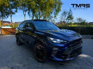  Cupra Terramar Cupra Terramar 2.0 TSI 4Drive VZ PANORAMA HUD Trekhaak Sennheiser Sound Standkachel  VOLL 2025/9