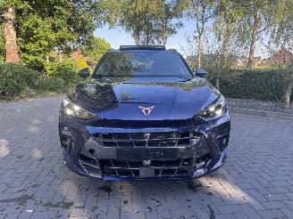 Cupra Terramar Cupra Terramar 2.0 TSI 4Drive VZ PANORAMA HUD Trekhaak Sennheiser Sound Standkachel  VOLL picture 12