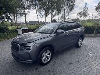 uszkodzony samochody osobowe Skoda Kodiaq Skoda Kodiaq 1.5 TSI mHEV 150ps Selection Ambiance Trekhaak Leer VOL 2025/1