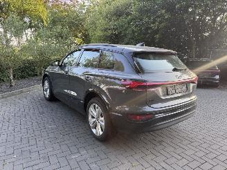 Audi Q6 Audi Q6 e-tron performance 225 kW Passenger Display ! picture 14