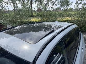BMW 3-serie BMW 330e Touring M Sport PANORAMA HUD Ambiance 360view picture 11