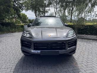 Porsche Cayenne Cayenne E-Hybrid PANORAMA Leder Trekhaak 360View VOLL picture 21