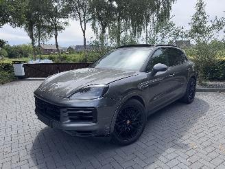 Porsche Cayenne Cayenne E-Hybrid PANORAMA Leder Trekhaak 360View VOLL picture 6