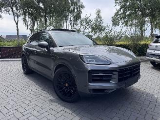 Porsche Cayenne Cayenne E-Hybrid PANORAMA Leder Trekhaak 360View VOLL picture 18