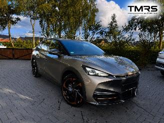 uszkodzony samochody osobowe Cupra Tavascan Tavascan 210 kW Endurance PANORAMA Camera HUD VOL VOL !! 2026/1