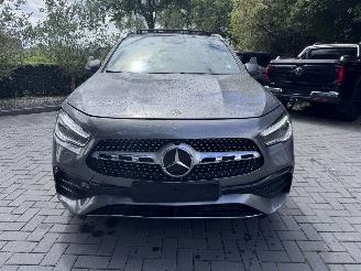 Mercedes GLA GLA 250 e AMG Panorama Ambiance Camera ACC VOL picture 13