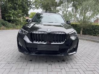 BMW X1 X1 sDrive 18 i M Sport PANORAMA Camera Ambiance VOL!! picture 20