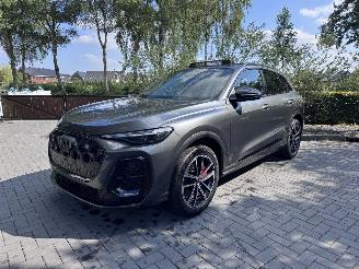 Audi Q5 Q5 2.0 e-hybrid 3xS-line Quattro 220 kW PANORAMA 360view VOL VOL picture 14