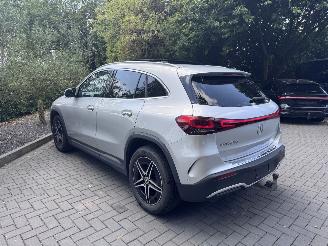 Mercedes EQA EQA 250+ AMG Panorama Camera Trekhaak Ambiance VOL picture 31