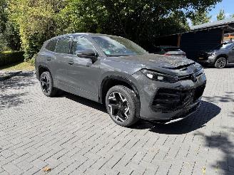 Volkswagen Tayron Volkswagen Tayron 1.5 TSI eHybrid 200 kW 2x R-Line PANO HUD picture 10