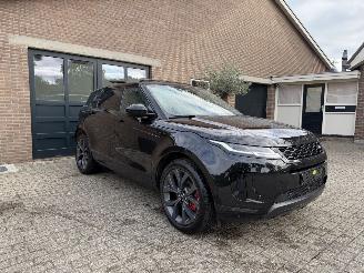 Land Rover Range Rover Evoque Range Rover Evoque P300e Bronze Collection AWD Automatik PANORAMA picture 12
