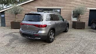 Mercedes EQB EQB 300+ 4Matic 7 Sitzer Ambiance Leder Camera picture 10