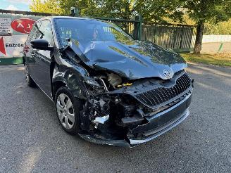  Skoda Fabia 1ER PROPRIéTAIRE 2017/1