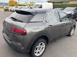 Citroën C4 cactus AUTOMAAT picture 3