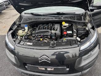 Citroën C4 cactus  picture 11