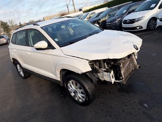Skoda Karoq AUTOMAAT picture 3