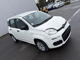 Schadeauto Fiat Panda  2022/8