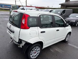 Fiat Panda  picture 4