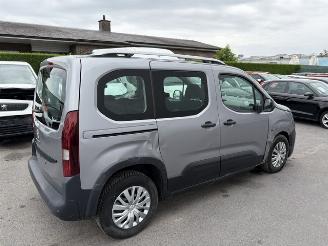 Peugeot Rifter  picture 2