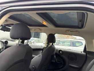 Mini Countryman  picture 8