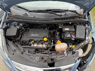 Opel Corsa 1.2-16V Design Edition Automaat Nap picture 12
