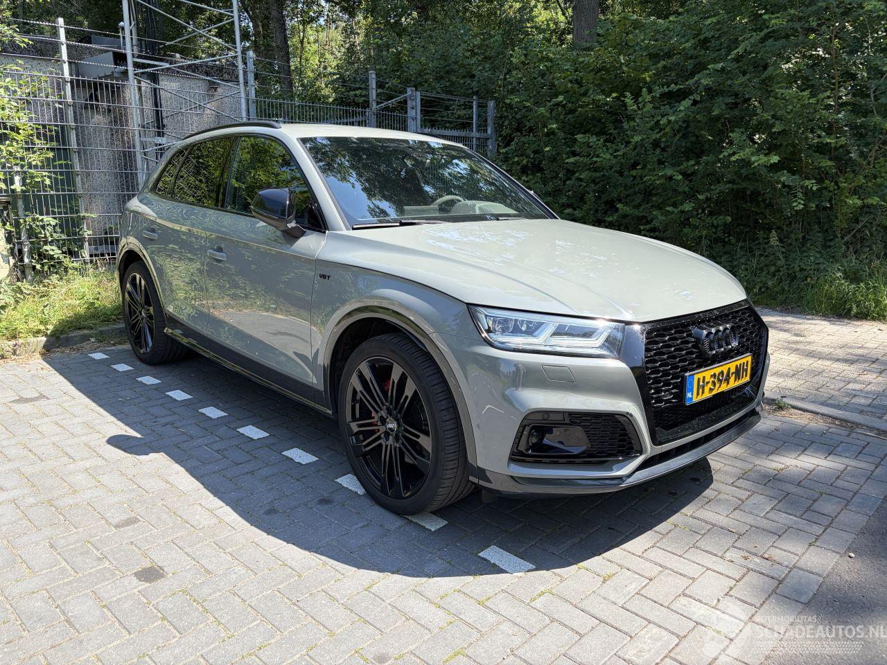 Audi SQ5 3.0 TFSI SQ5 Quattro Pro Line Plus B&O 354PK