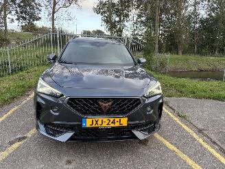 Cupra Formentor 1.5 TSI picture 8