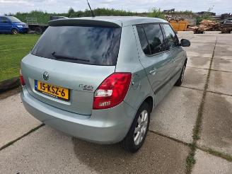 Skoda Fabia  picture 5