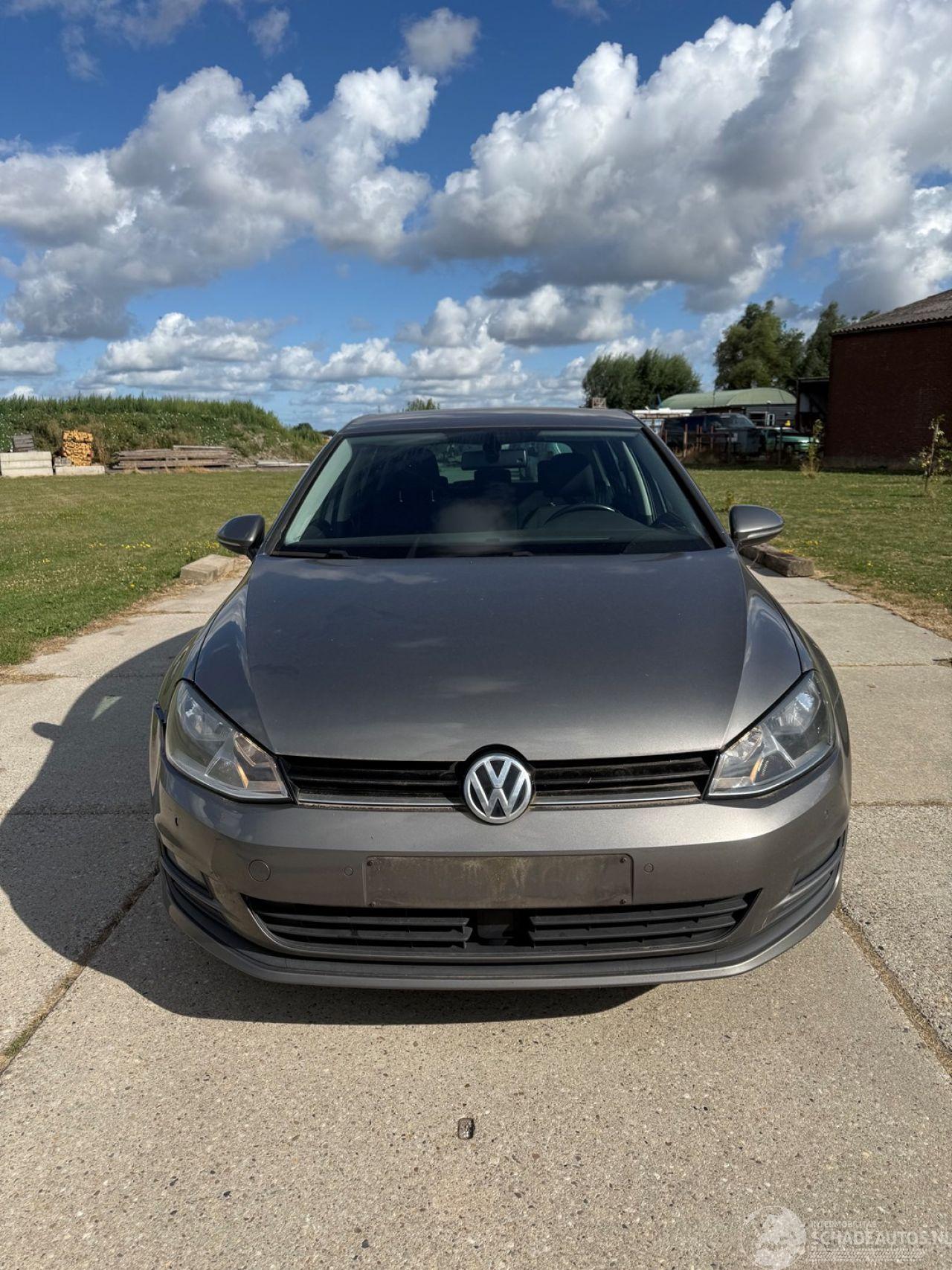 Volkswagen Golf 1.6 TDI