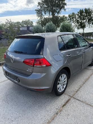 Volkswagen Golf 1.6 TDI picture 4