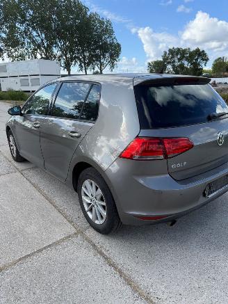 Volkswagen Golf 1.6 TDI picture 5