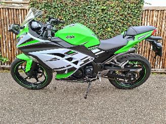 Kawasaki  Ninja 300 Anniversary Edition picture 11