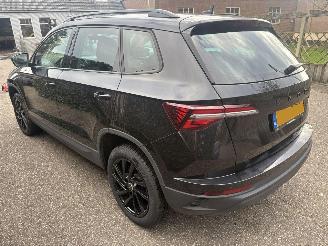 Skoda Karoq 1.0 TSI Business Edition 110PK picture 2
