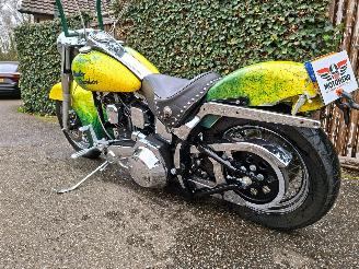 Harley-Davidson Heritage softtail FLSTC Heritage Classic picture 17