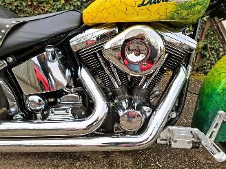 Harley-Davidson Heritage softtail FLSTC Heritage Classic picture 3