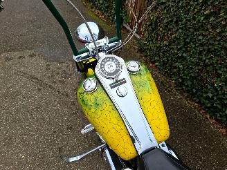 Harley-Davidson Heritage softtail FLSTC Heritage Classic picture 19