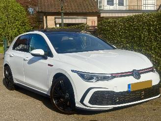 Volkswagen Golf VIII GTI 2.0 245 PK PANORAMA picture 3