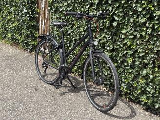 Koga-Miyata  SPORT picture 10